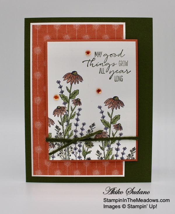 stampin-up-dragonfly-garden-stampininthemeadows.com-05