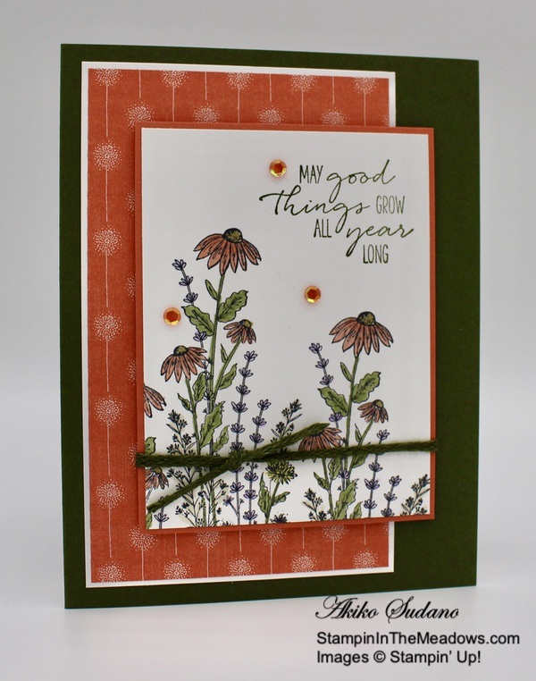 stampin-up-dragonfly-garden-stampininthemeadows.com-06