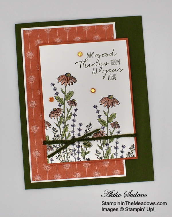 stampin-up-dragonfly-garden-stampininthemeadows.com-08