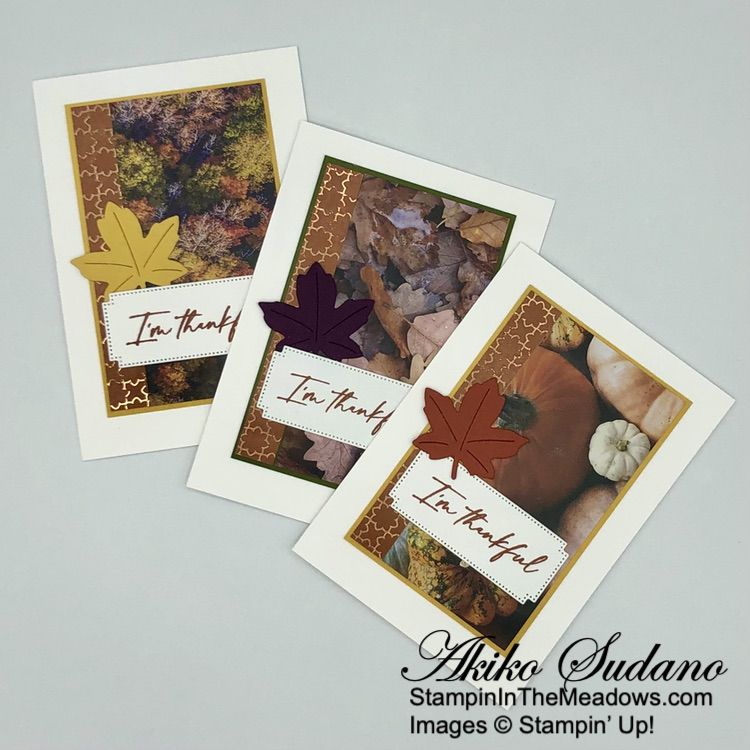 Stampin' Up! Autumn Leaves Note Cards Sneak Peek – Stampin' in the